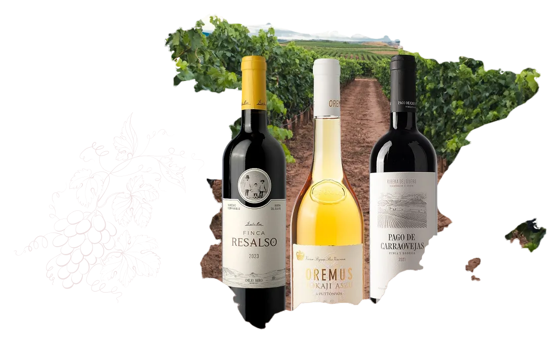 Wine boutique
