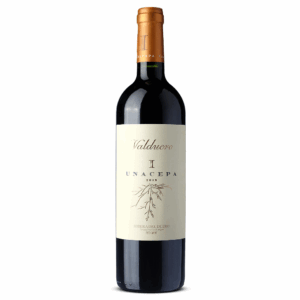 Valduero Una Cepa I 2019 Magnum