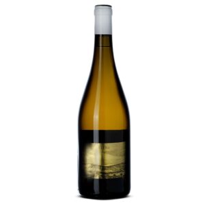 Raul Moreno El Dia 2024