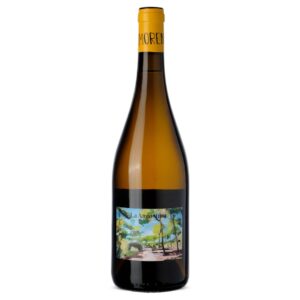 Raul Moreno La Angostura 2024