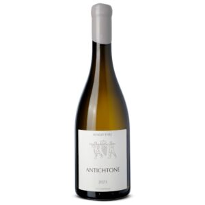 Benoit Ente Bourgogne Aligoté Antichtone 2023