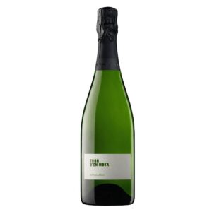 Recaredo Turo D'En Mota 2002