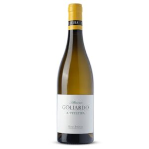 Forjas del Salnés Goliardo a Telleira Albariño 2024