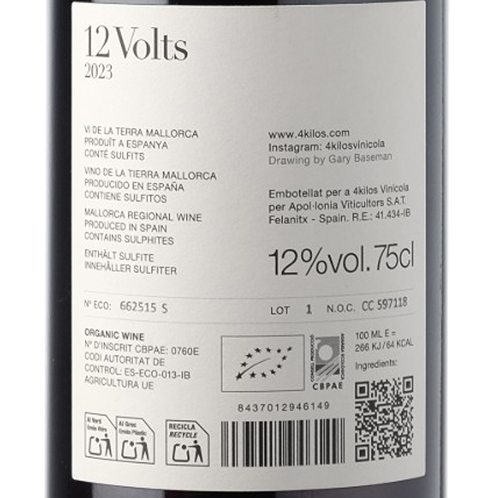 12_VOLTS_2013_3_web.jpg