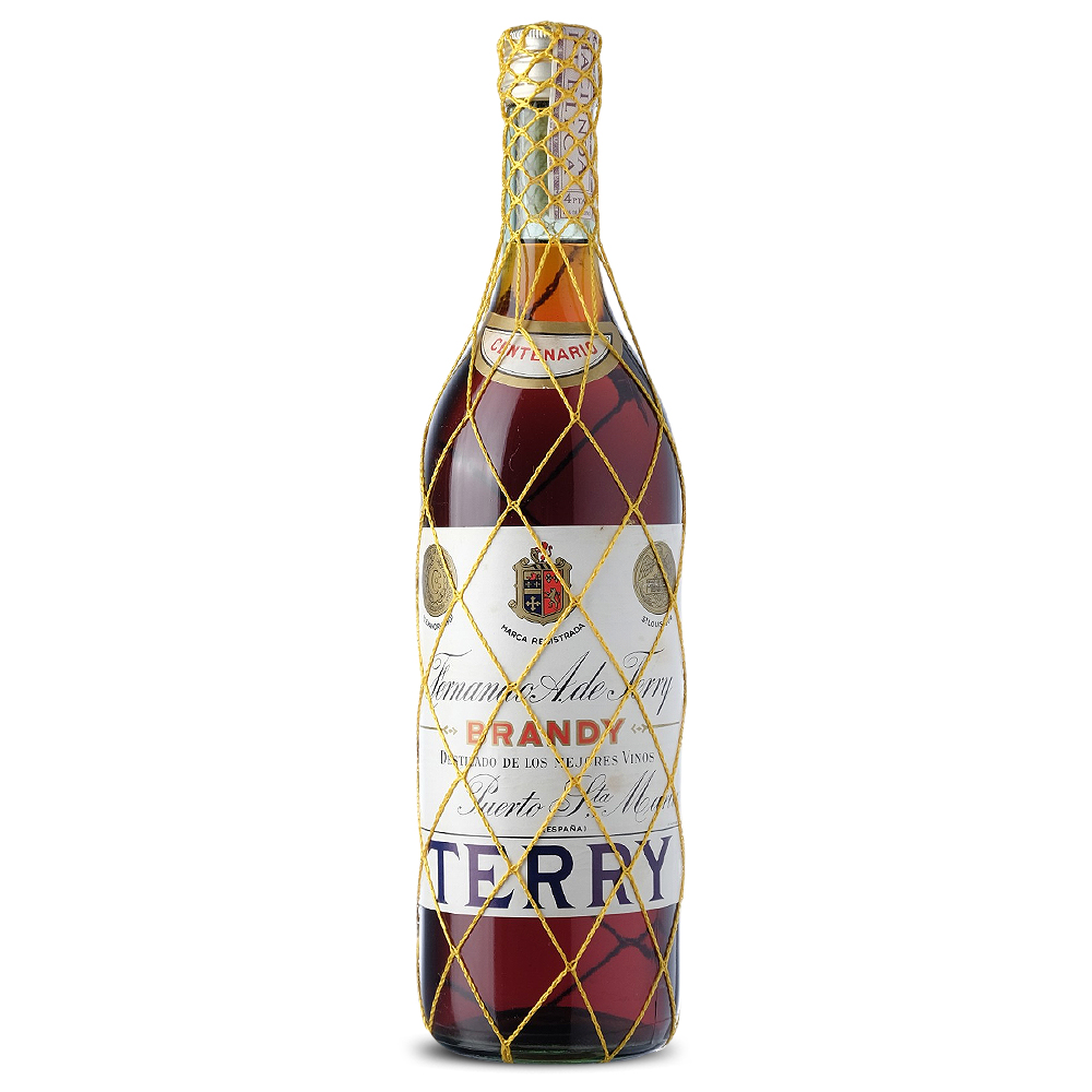 Brandy_TERRY_2_web.jpg
