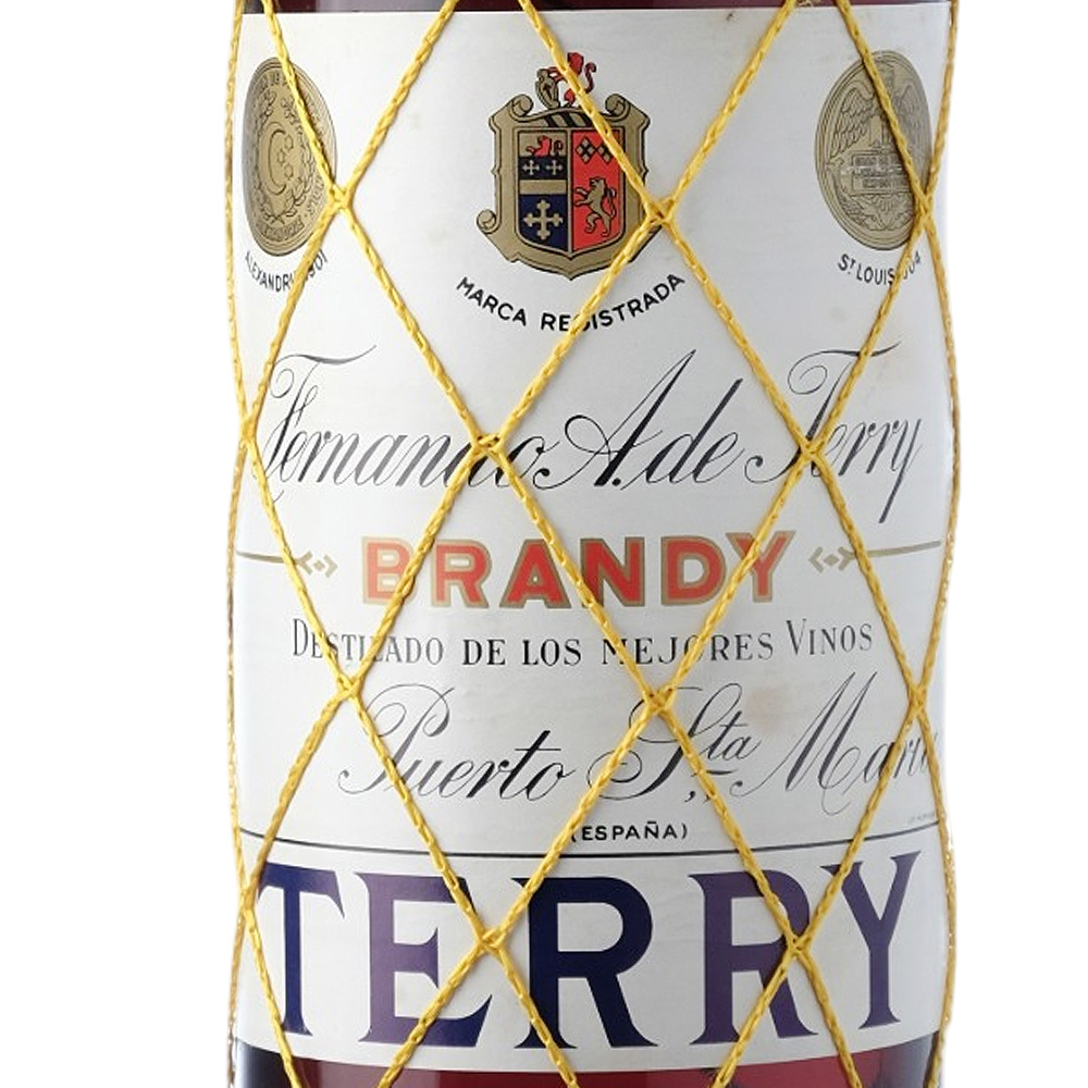 Brandy_TERRY_3_web.jpg