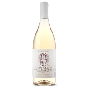 PINOT_Grigio_Cantina_Tollo_2024_1_web.jpg