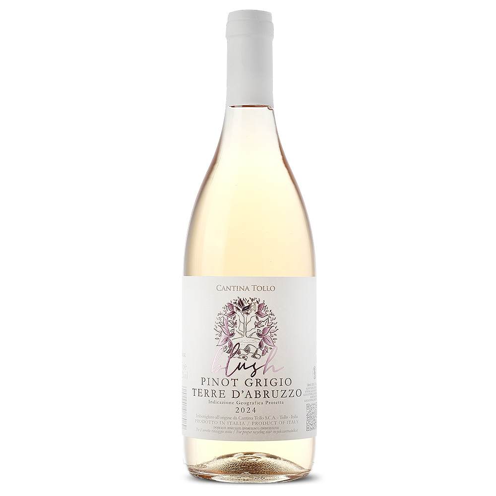 PINOT_Grigio_Cantina_Tollo_2024_1_web.jpg