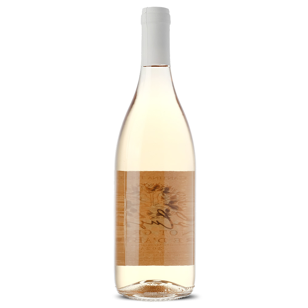 PINOT_Grigio_Cantina_Tollo_2024_2_web.jpg