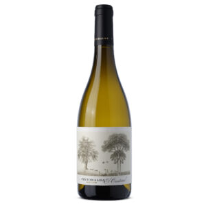 TINTORALBA_Blanc_de_Noire_2024_1_web.jpg