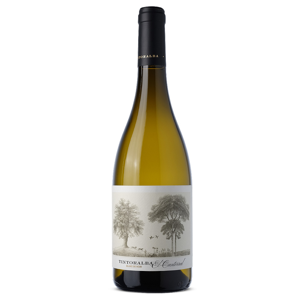 TINTORALBA_Blanc_de_Noire_2024_1_web.jpg