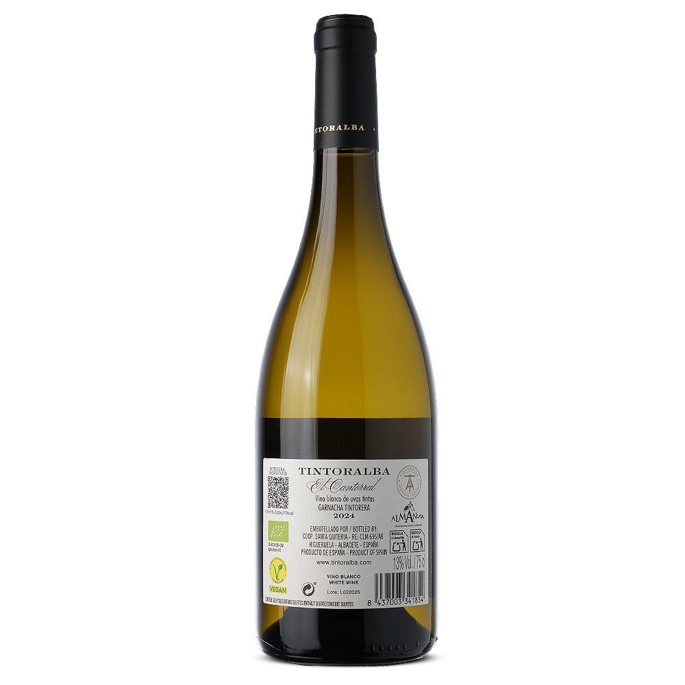 TINTORALBA_Blanc_de_Noire_2024_2_web.jpg