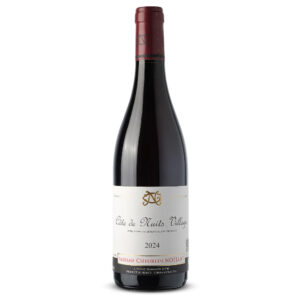 COne_de_Nuits_Village_MAX_CHEURLIN_NOELLAT_2024_1_web.jpg