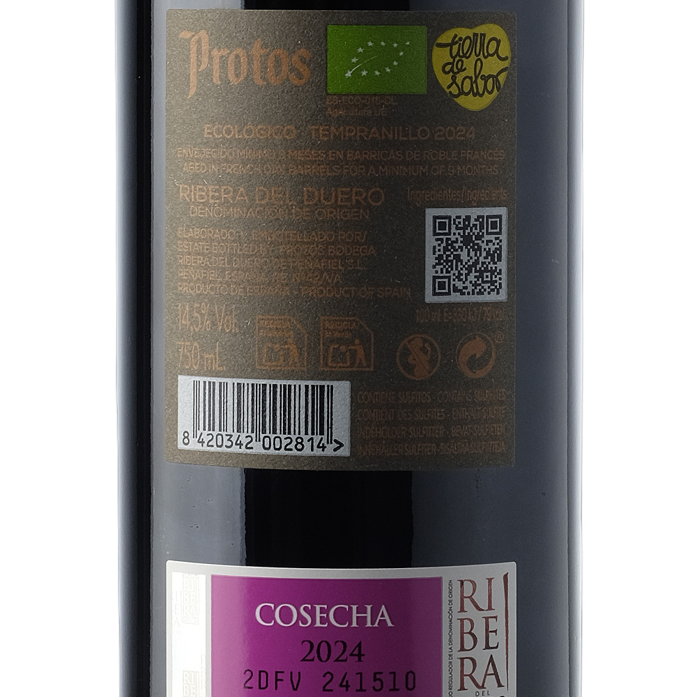 PROTOS_9_Meses_2024_3_web.jpg