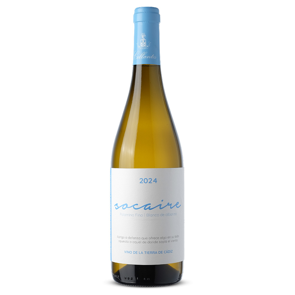 SOCAIRE_Blanco_2024_1_web.jpg