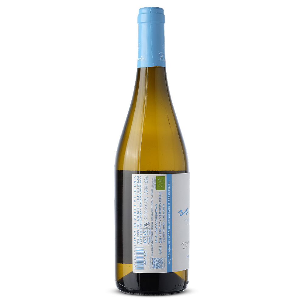 SOCAIRE_Blanco_2024_2_web.jpg