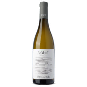 Valdesil_Godello_2024_1_web.jpg